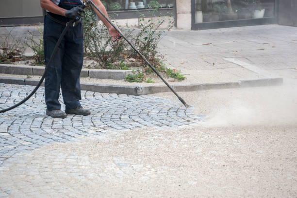  Pea Ridge, FL Pressure Washing Pros
